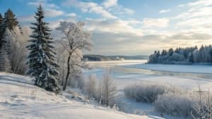 Изображение записи