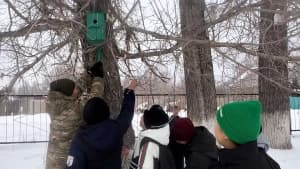 Изображение записи