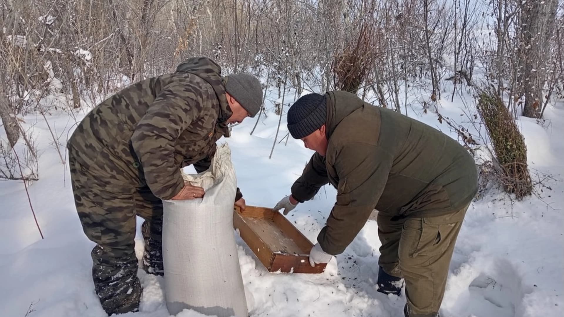 Изображение записи