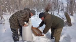 Изображение записи