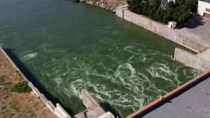 Изображение записи