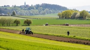 Изображение записи