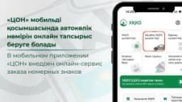 Изображение записи