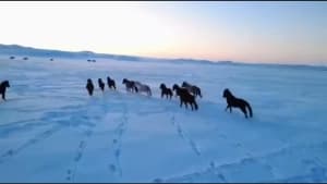 Изображение записи