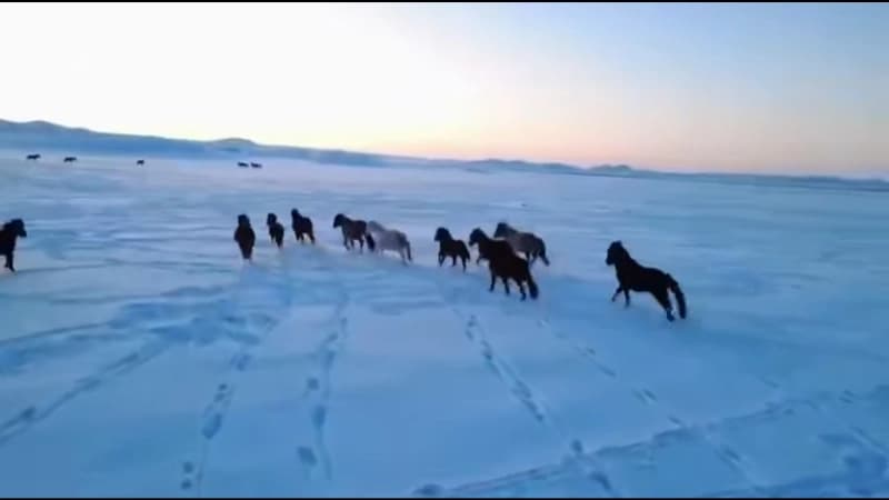 Изображение записи