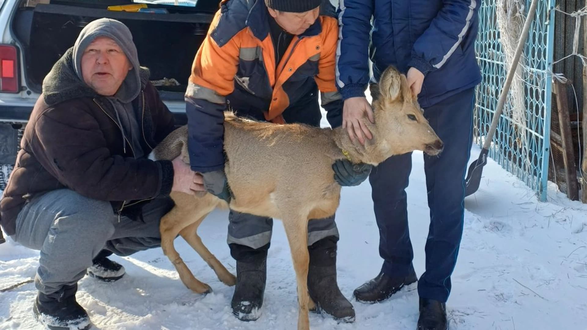 Изображение записи