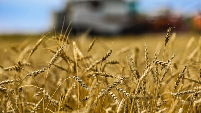 Изображение записи