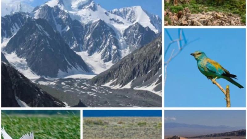 Изображение записи