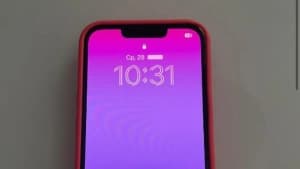 Изображение записи