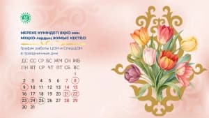 Изображение записи