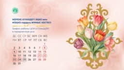 Изображение записи