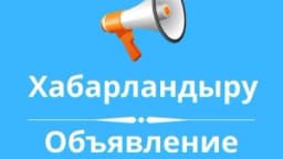 Изображение записи