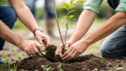 Изображение записи