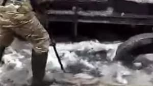 Изображение записи