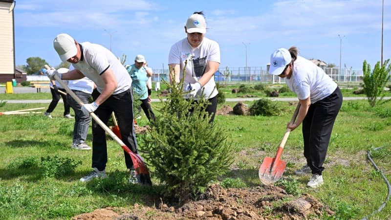 Изображение записи