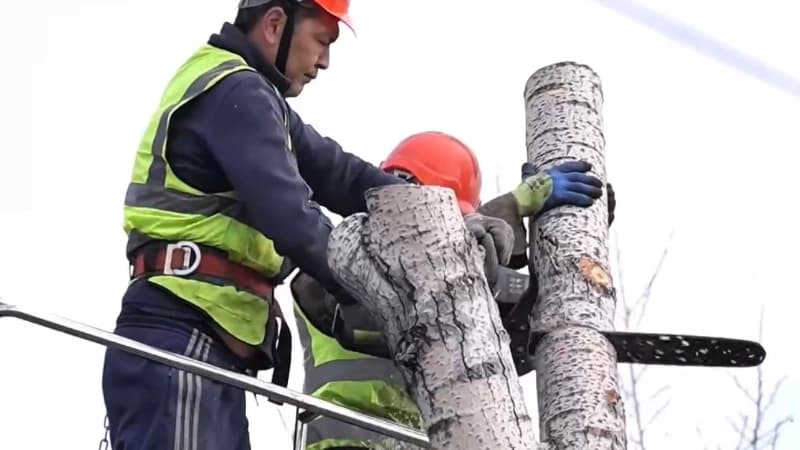 Изображение записи