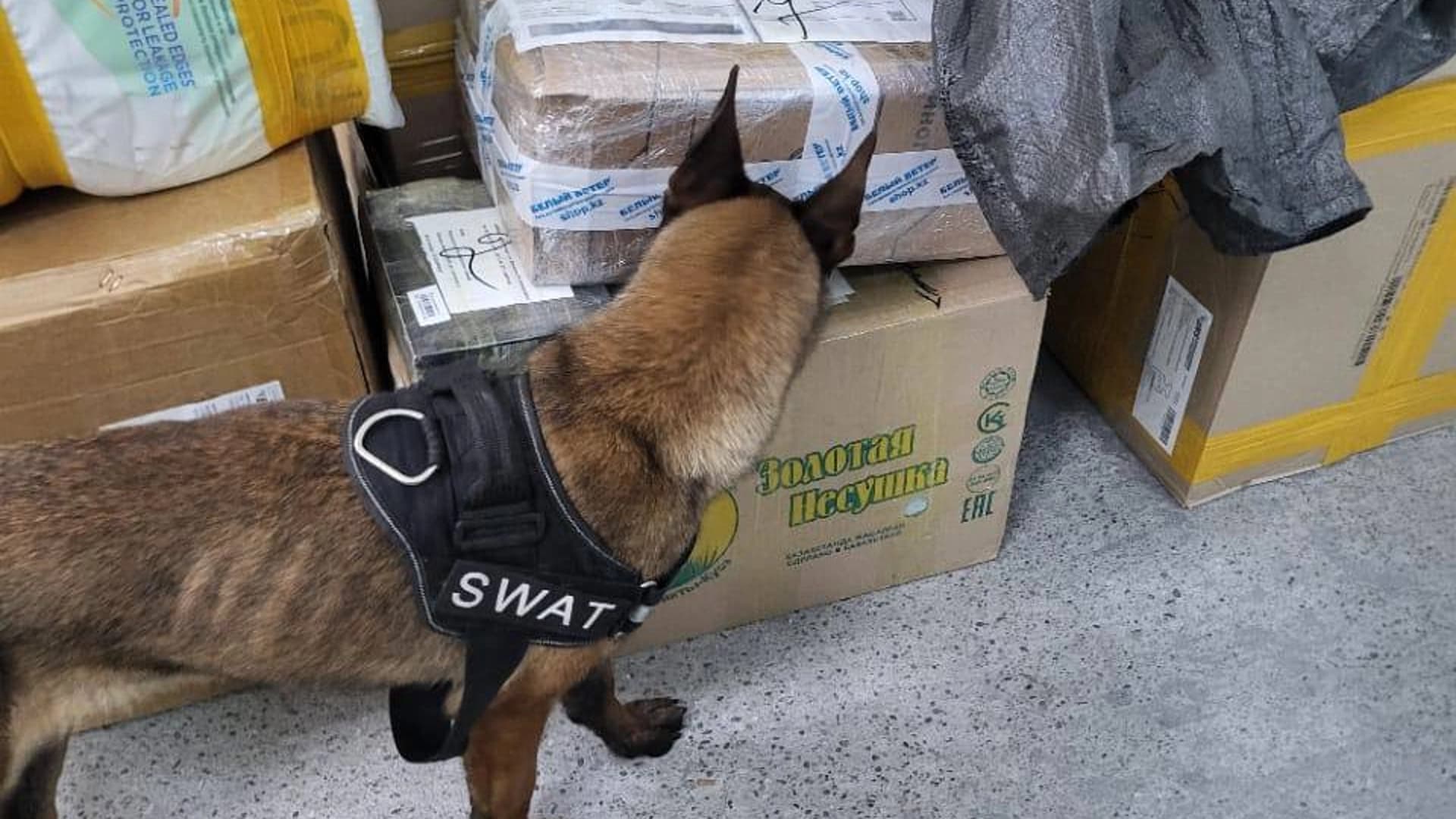 Изображение записи