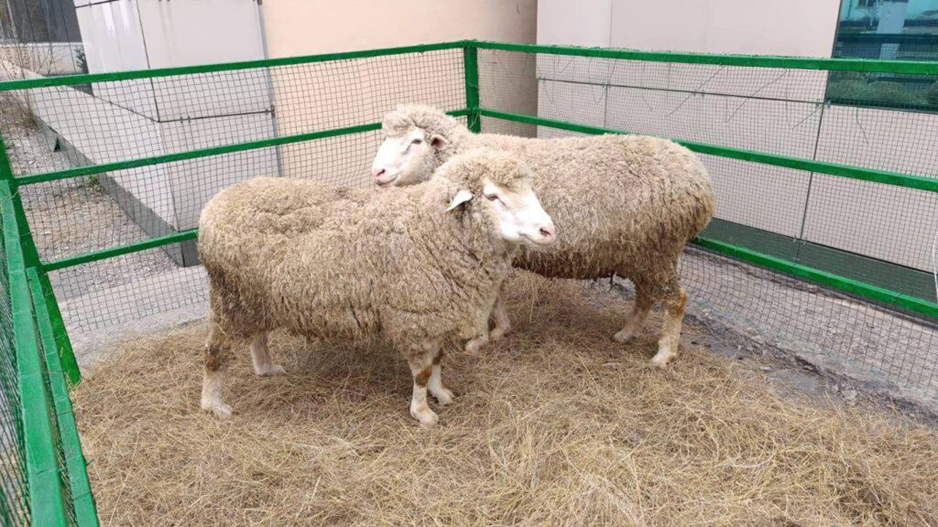 Изображение записи