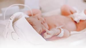 Изображение записи