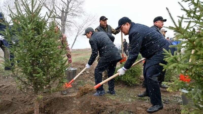 Изображение записи