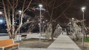 Изображение записи