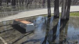 Изображение записи