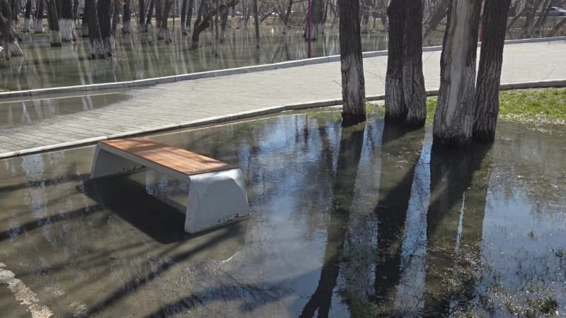 Изображение записи