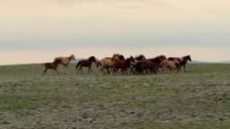 Изображение записи