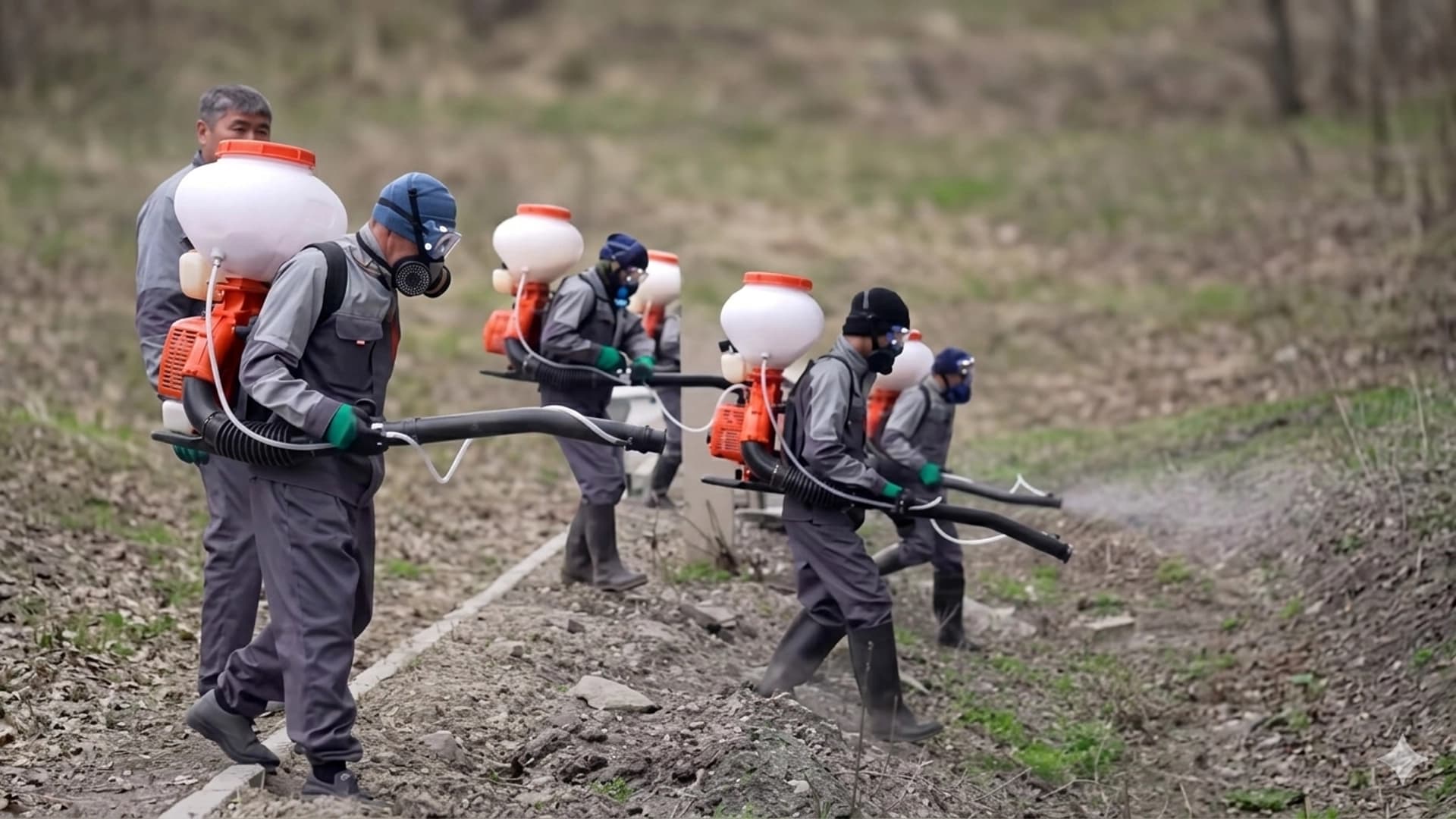 Изображение записи