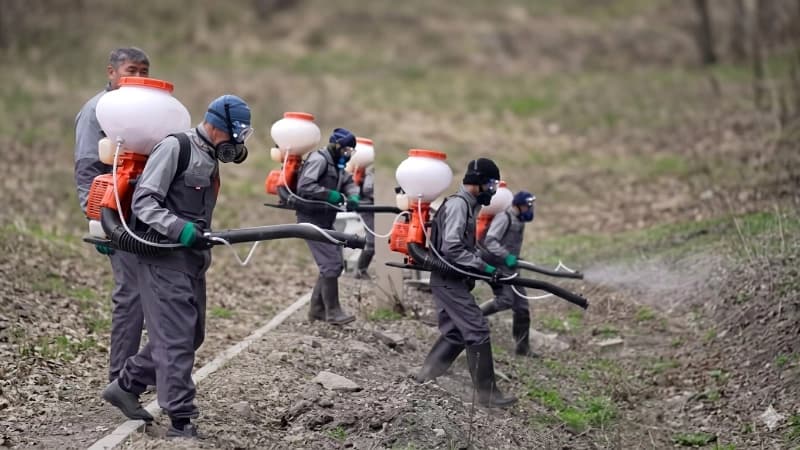 Изображение записи