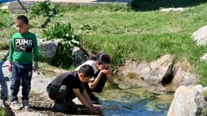 Изображение записи