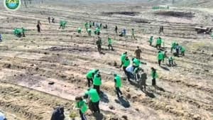 Изображение записи