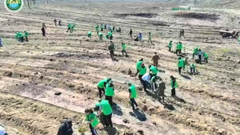 Изображение записи