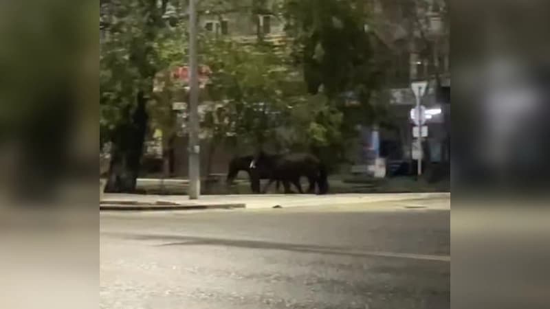 Изображение записи