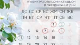 Изображение записи