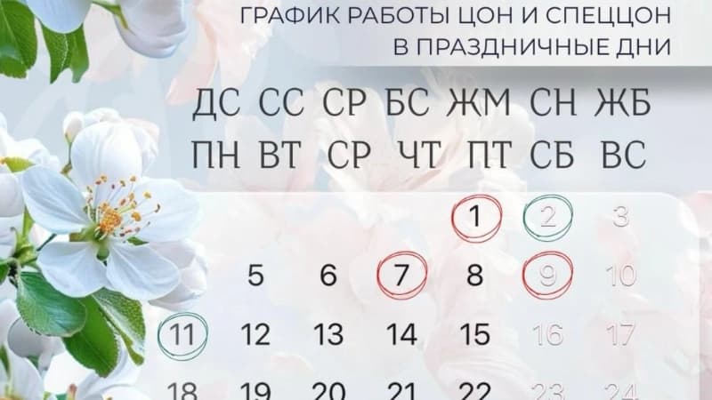 Изображение записи