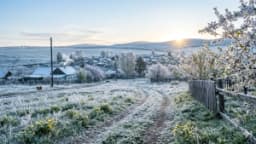 Изображение записи