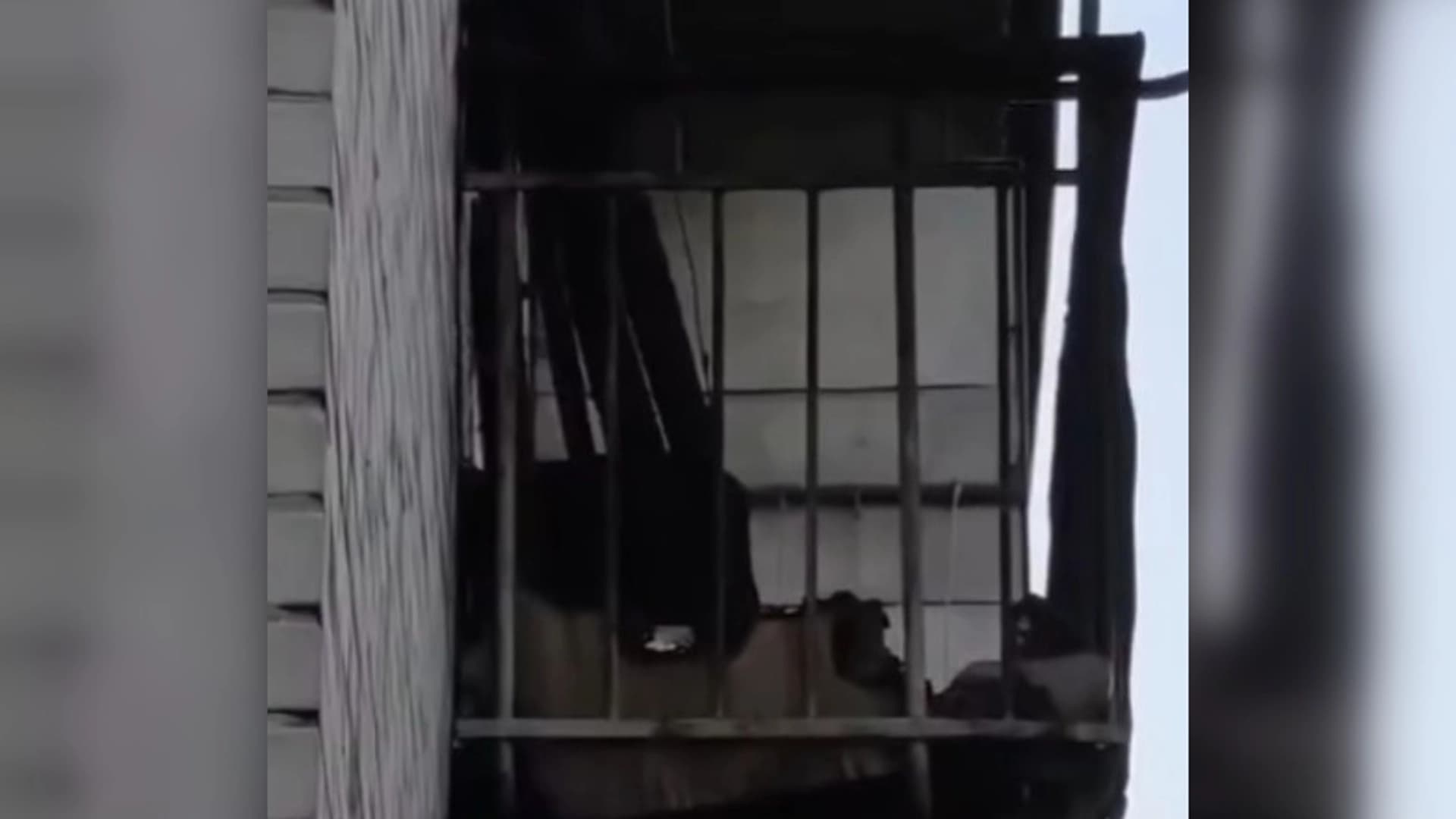 Изображение записи