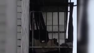 Изображение записи