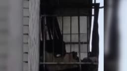 Изображение записи