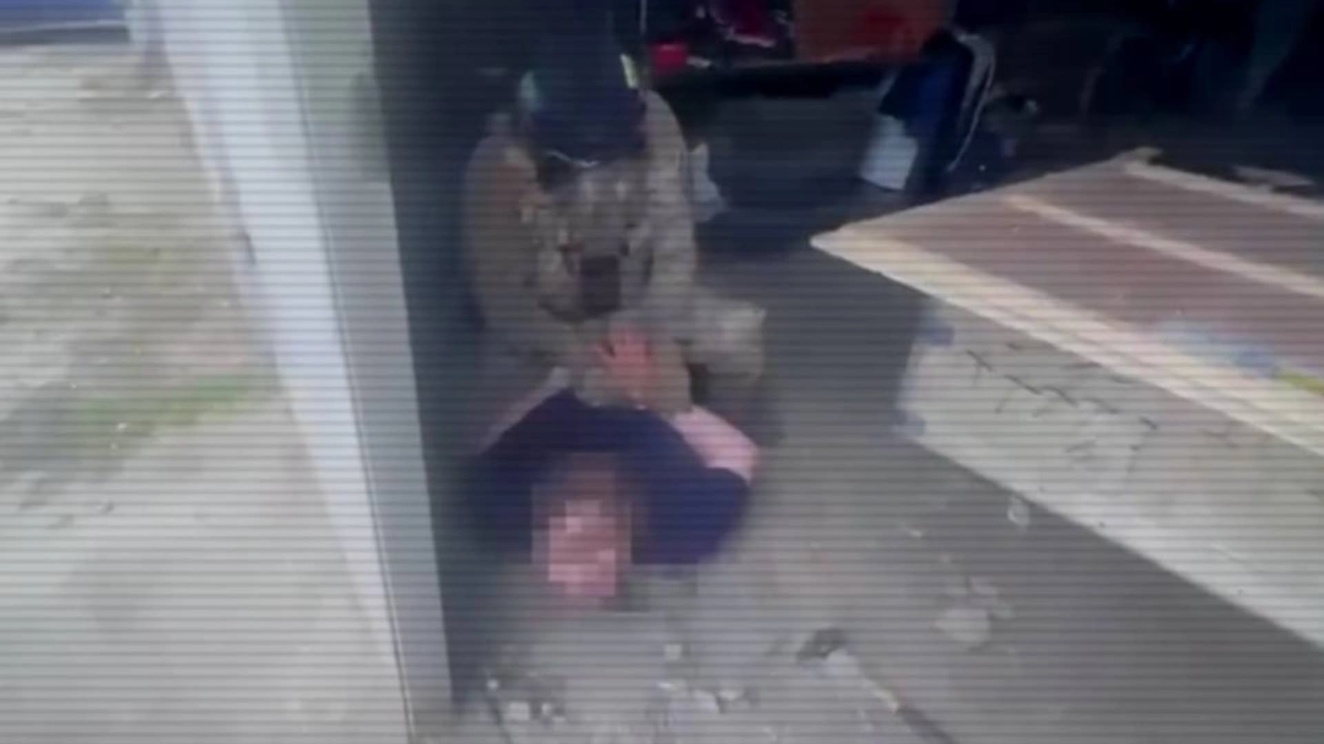 Изображение записи