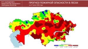Изображение записи