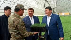 Изображение записи