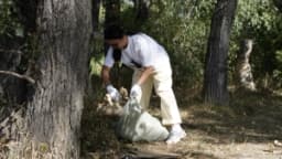 Изображение записи