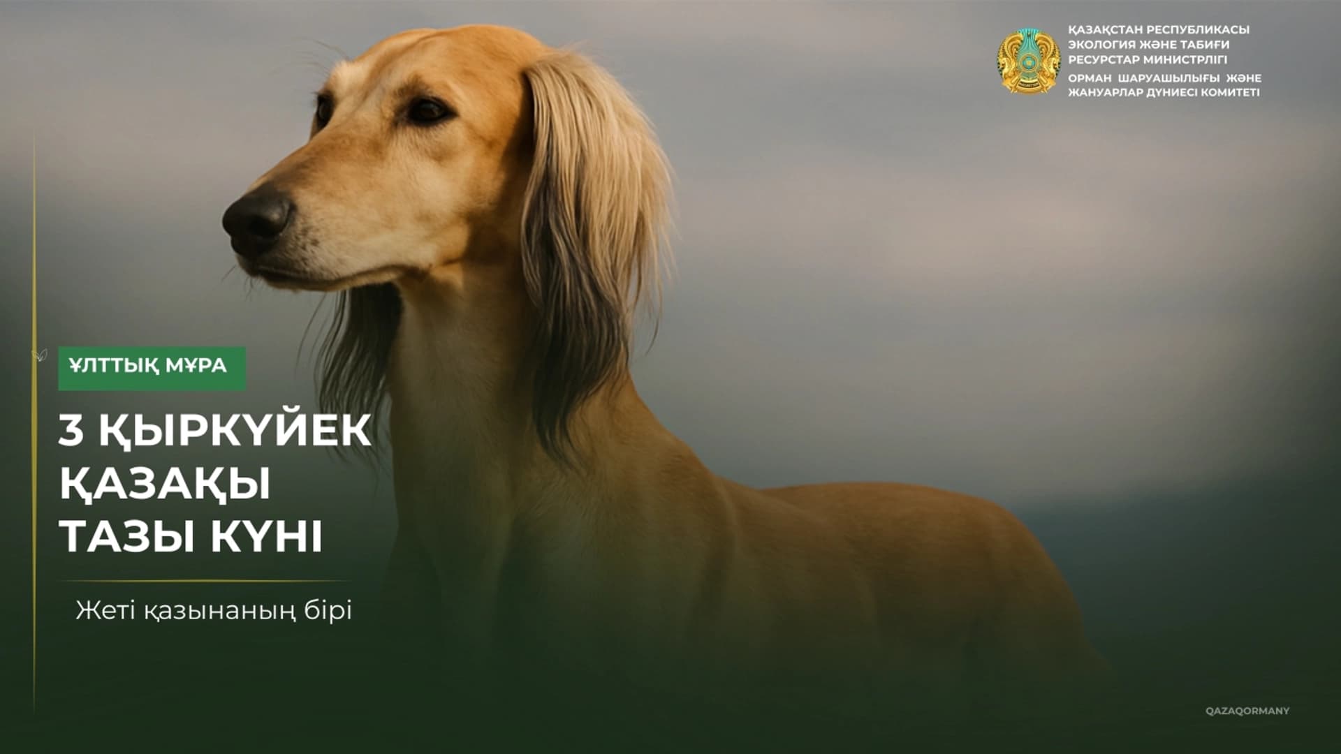 Изображение записи