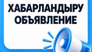 Изображение записи