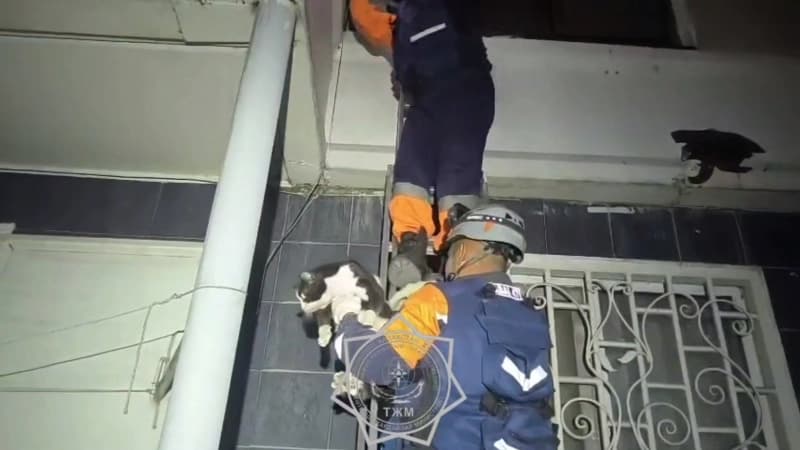 Изображение записи