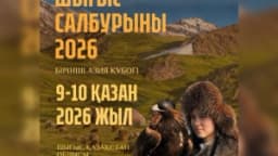 Изображение записи