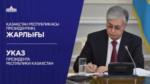 Изображение записи
