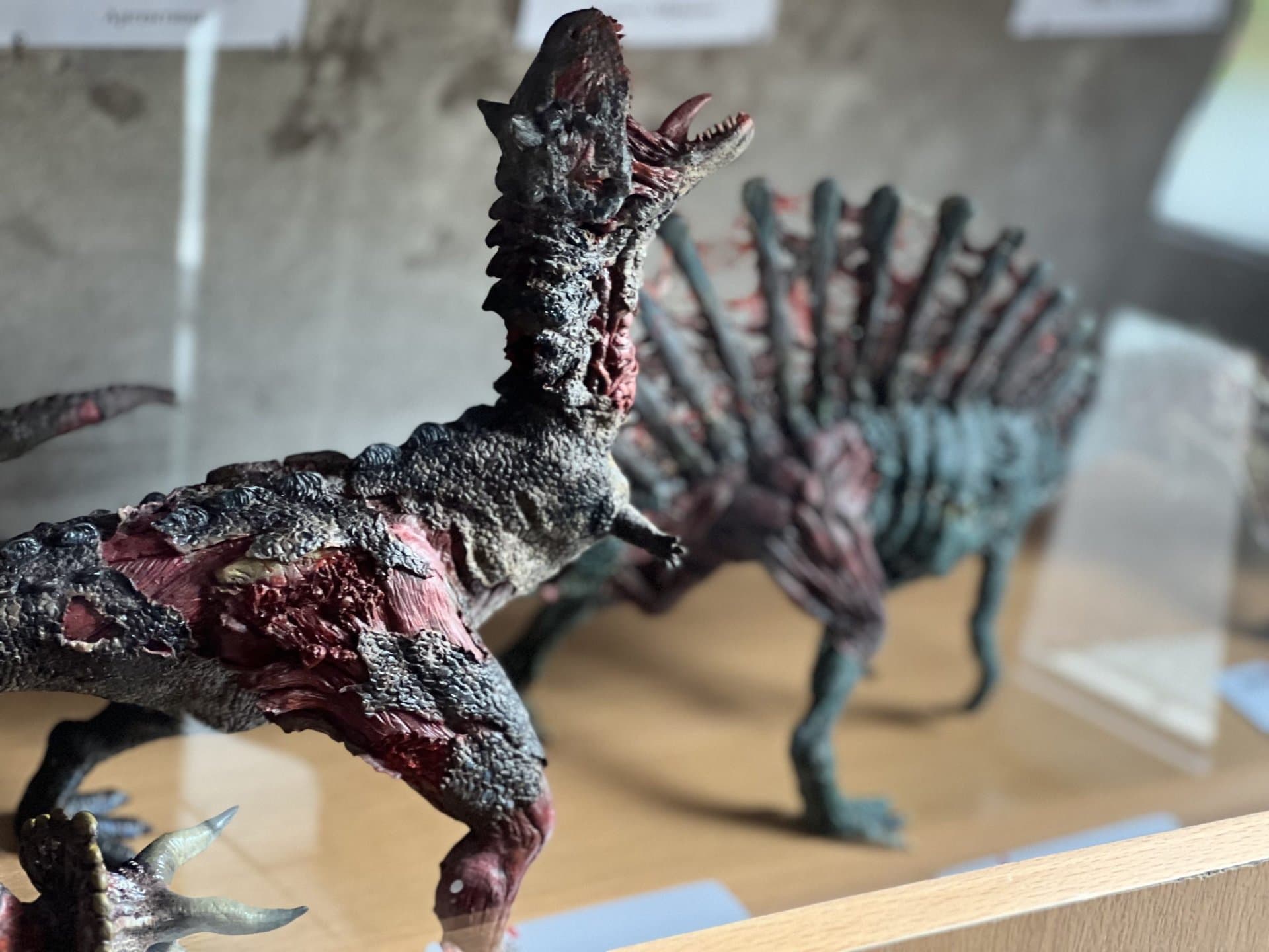 Изображение записи